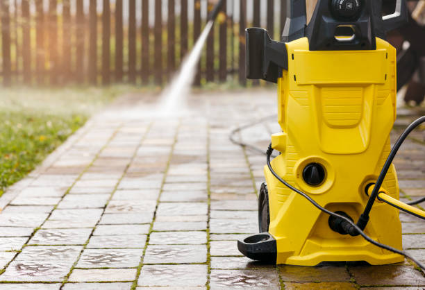 Animal Enclosure Cleaning in Dewitt, MI